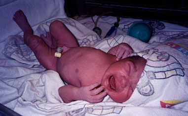 Different images of Camila